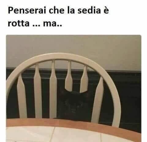 Guarda bene