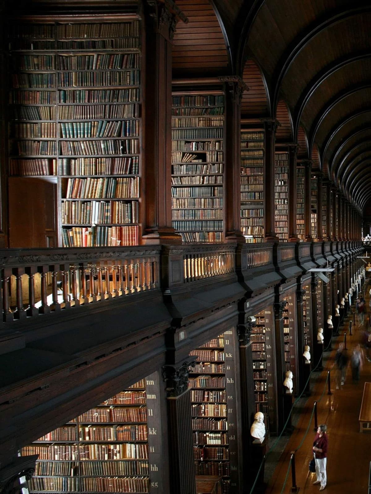 The Long Room, Trinity College. Dublino