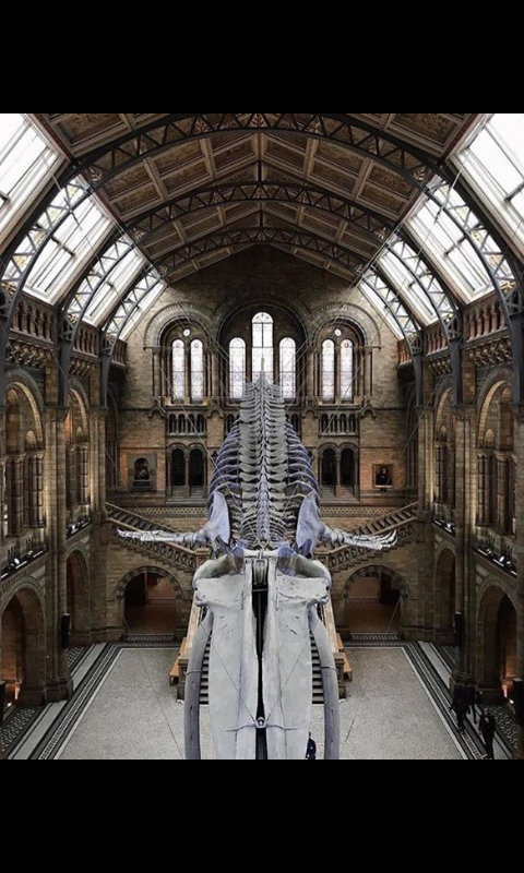 Museo di storia naturale, Londra