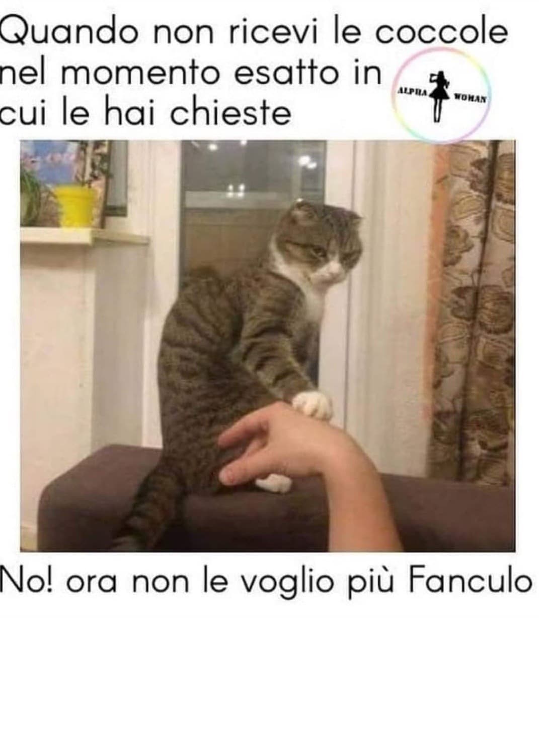 Chi non fa così?