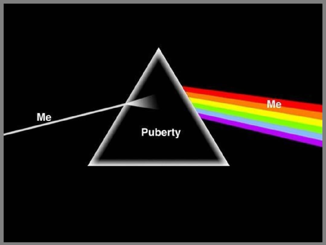 Ho appena ricordato che è la giornata internazionale contro la bifobia, l'omofobia e la transfobia?️‍?