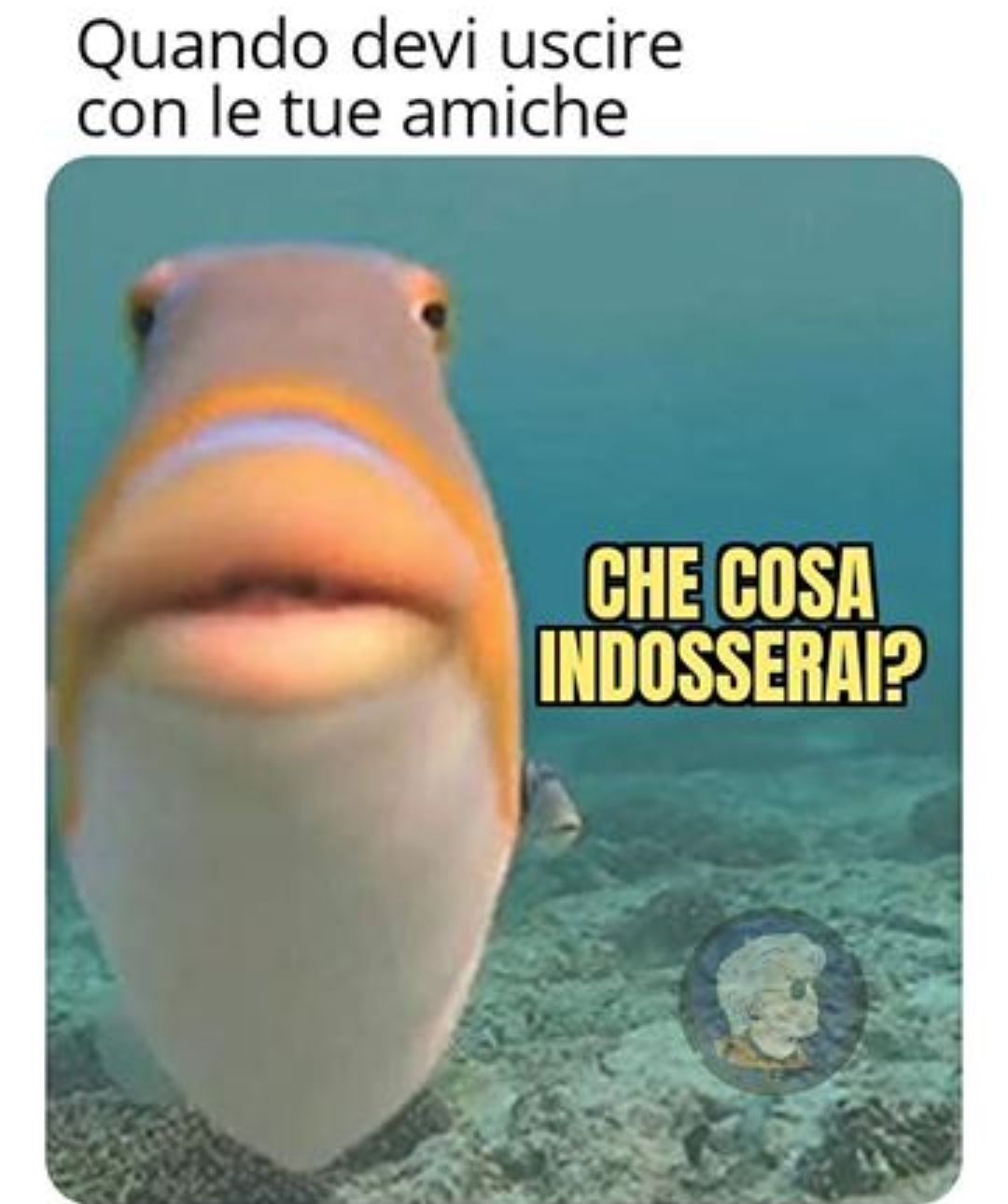 Verità 