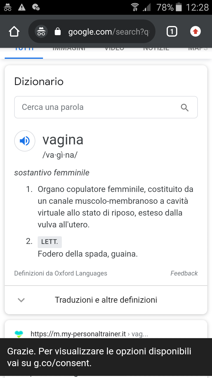 Quindi se io dico vagina intendo una roba della spada della serie : "infila quel coso nella vagina" tu devi mettere la copertura, ecco.