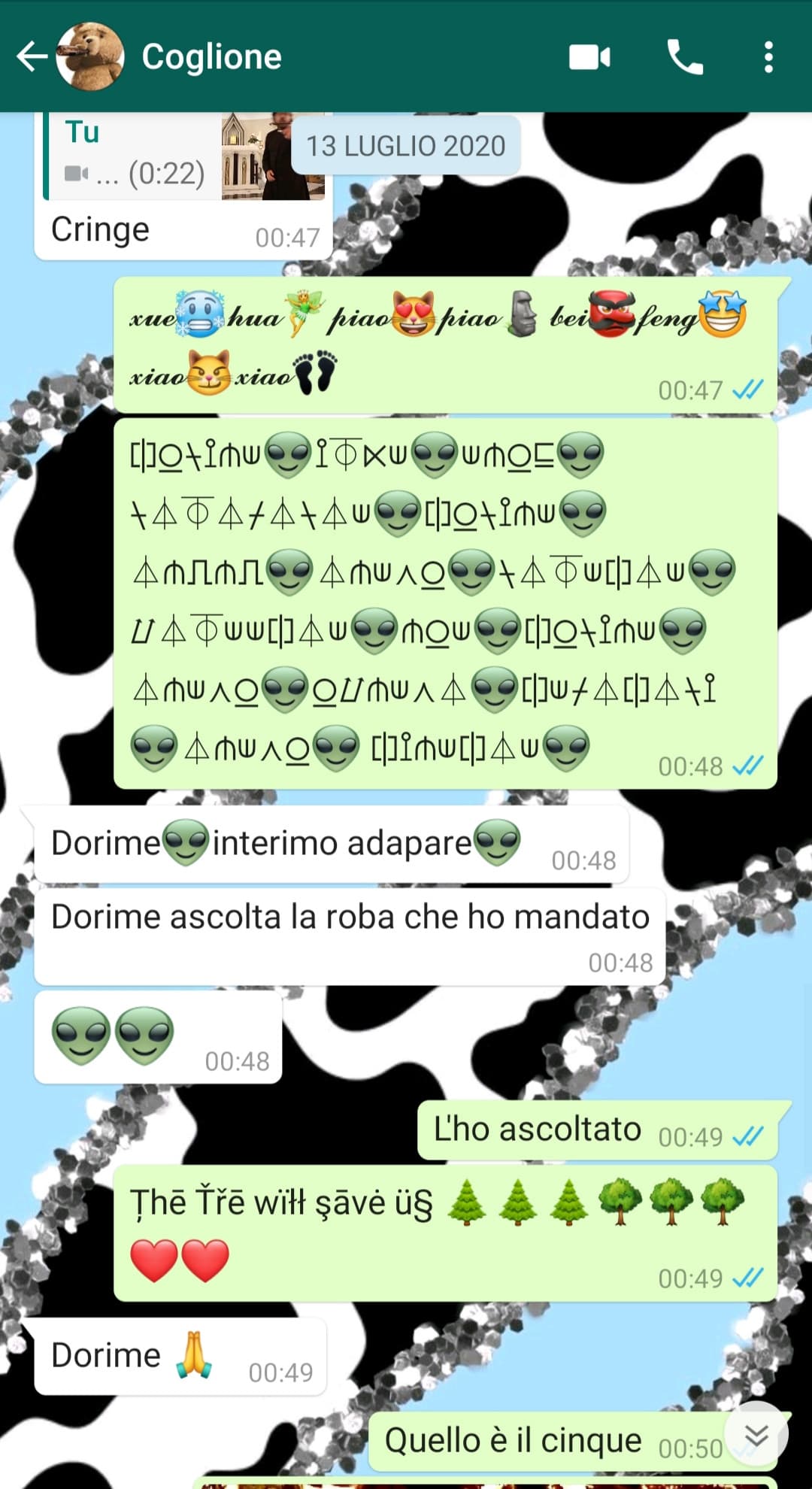 Chat con mio fratello