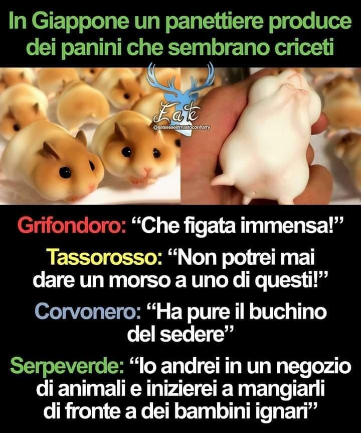 serpeverde tutta la vita ahah 