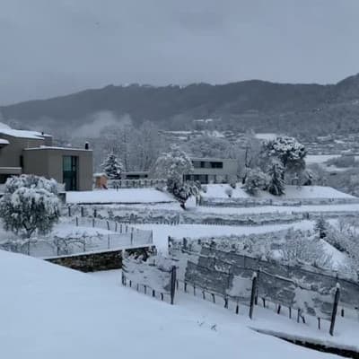 Ecco la vera neve altro che i 2 cm in città haha