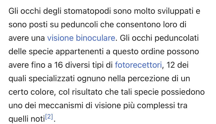 Pagherei oro per vedere come vede questo animale 