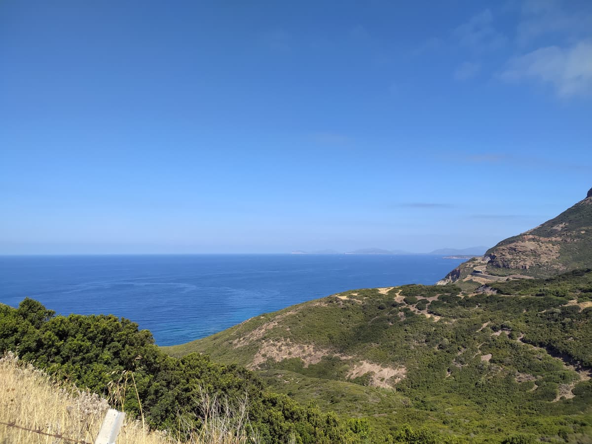 Andando a Bosa ho visto i grifoni, che figata 