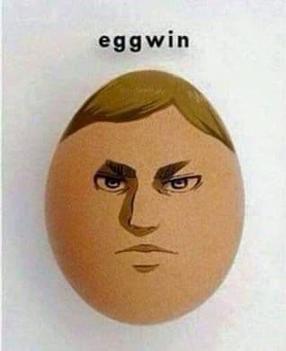 eggwin