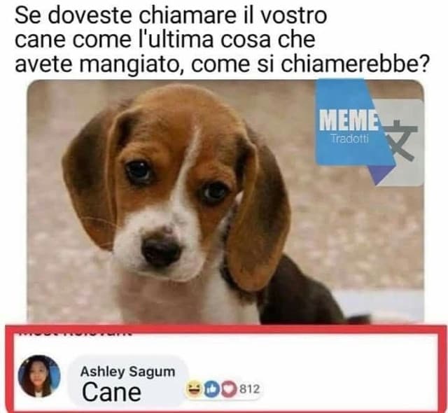 So che è fake ma fa troppo ridere