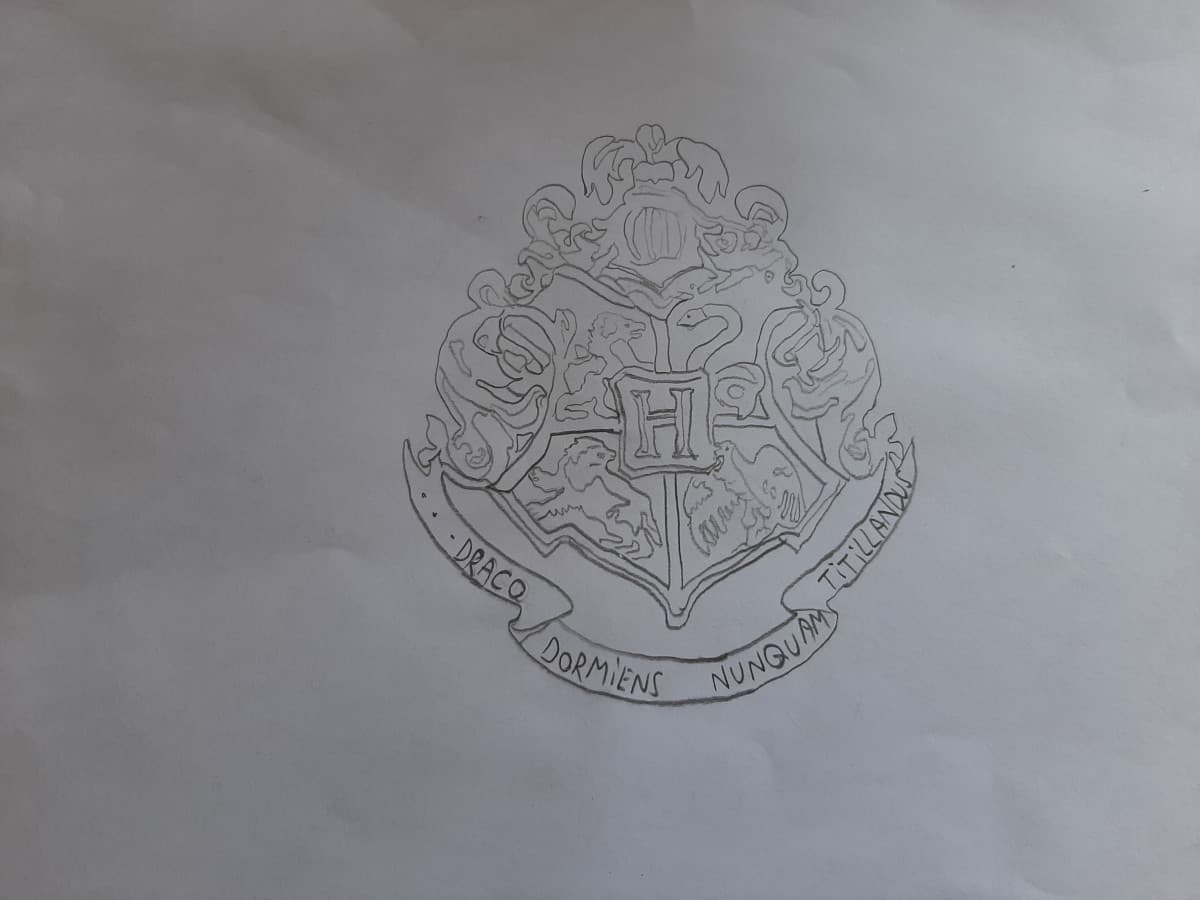 Io che provo a disegnare il logo delle case di Harry Potter? com'è?❤