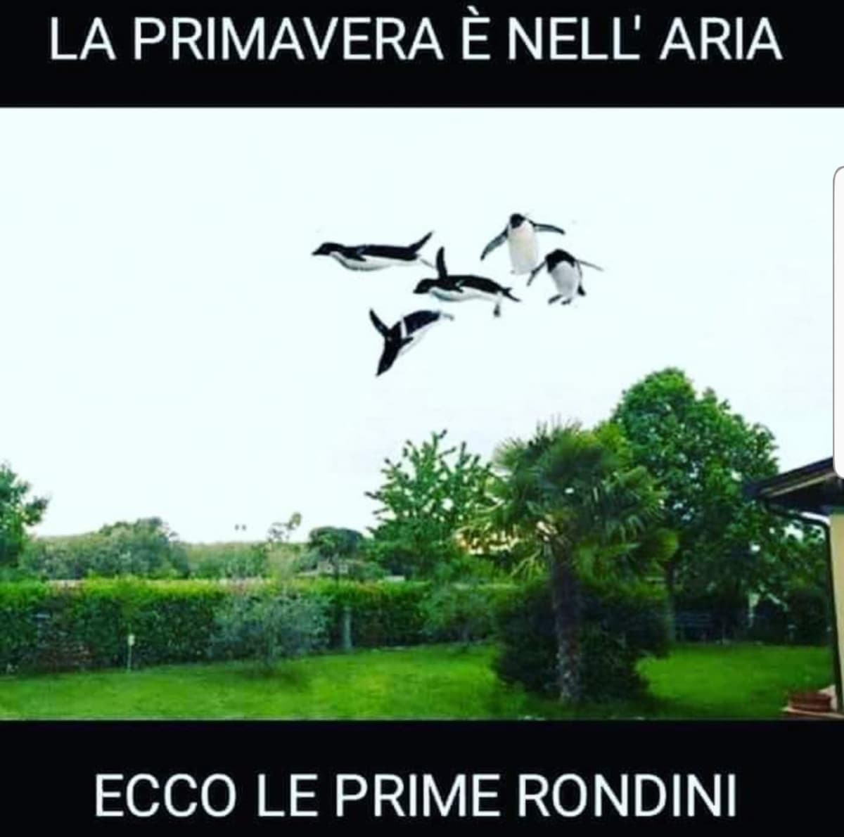 La primavera che tarda a venire