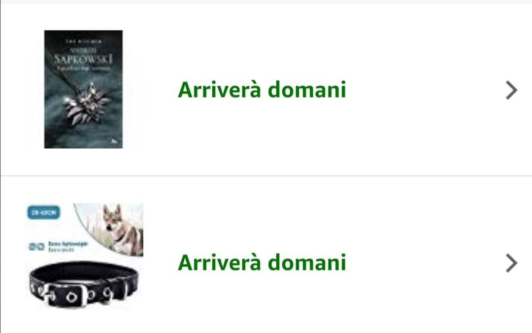 Primo libro di The Witcher e il collare nuovo per il cane adddoro