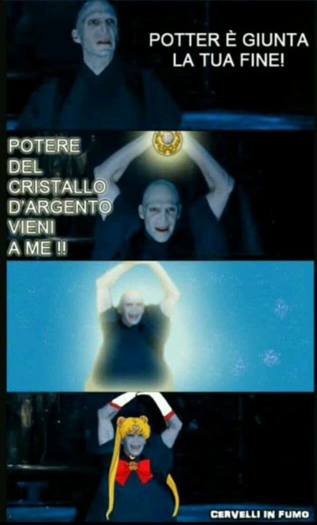 Zio Voldy è la best sailor ?