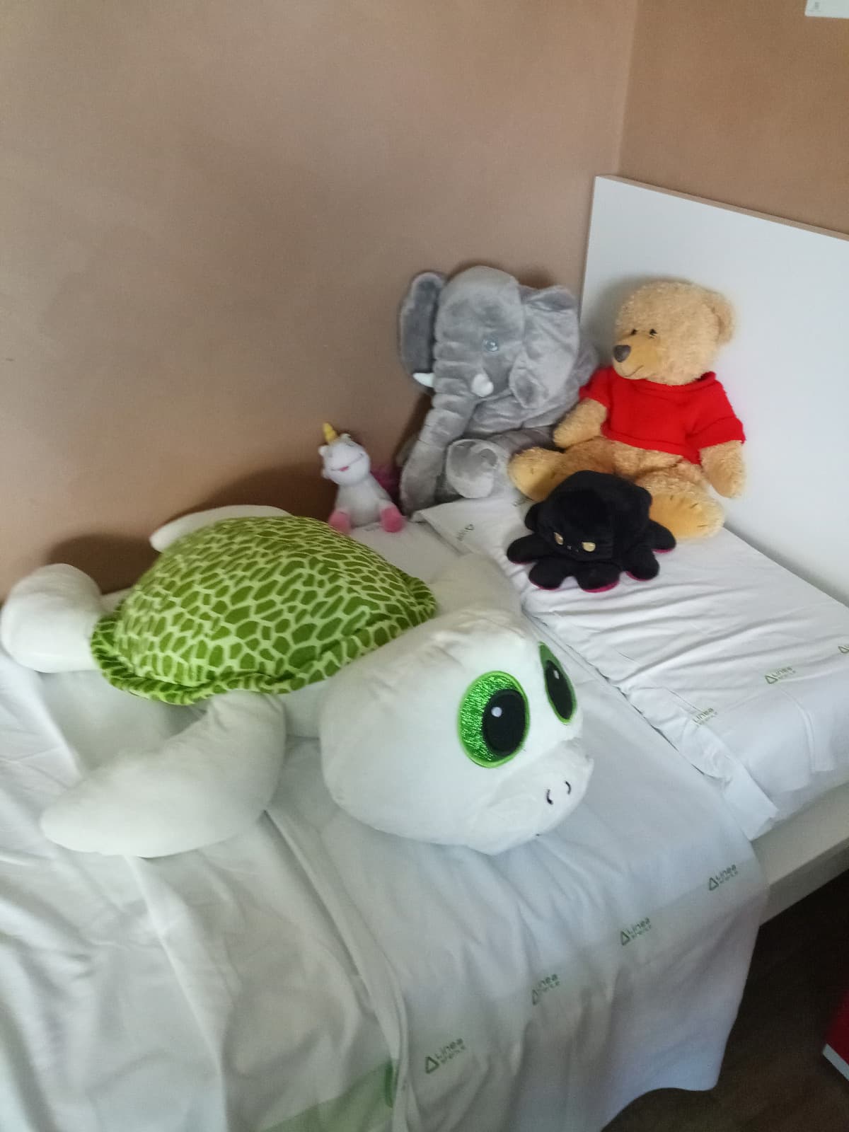 dato che sono in ospedale le mie amiche mi hanno regalato l'elefante 