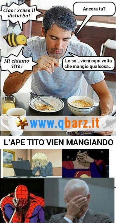 L'ape rompicoglioni