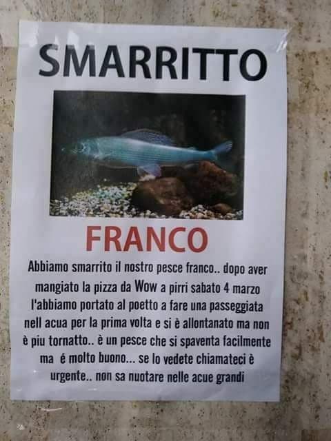 Alla ricerca di Franco