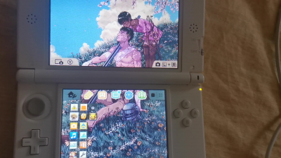 ragazzi dovete pezzottare il 3ds è meraviglioso 