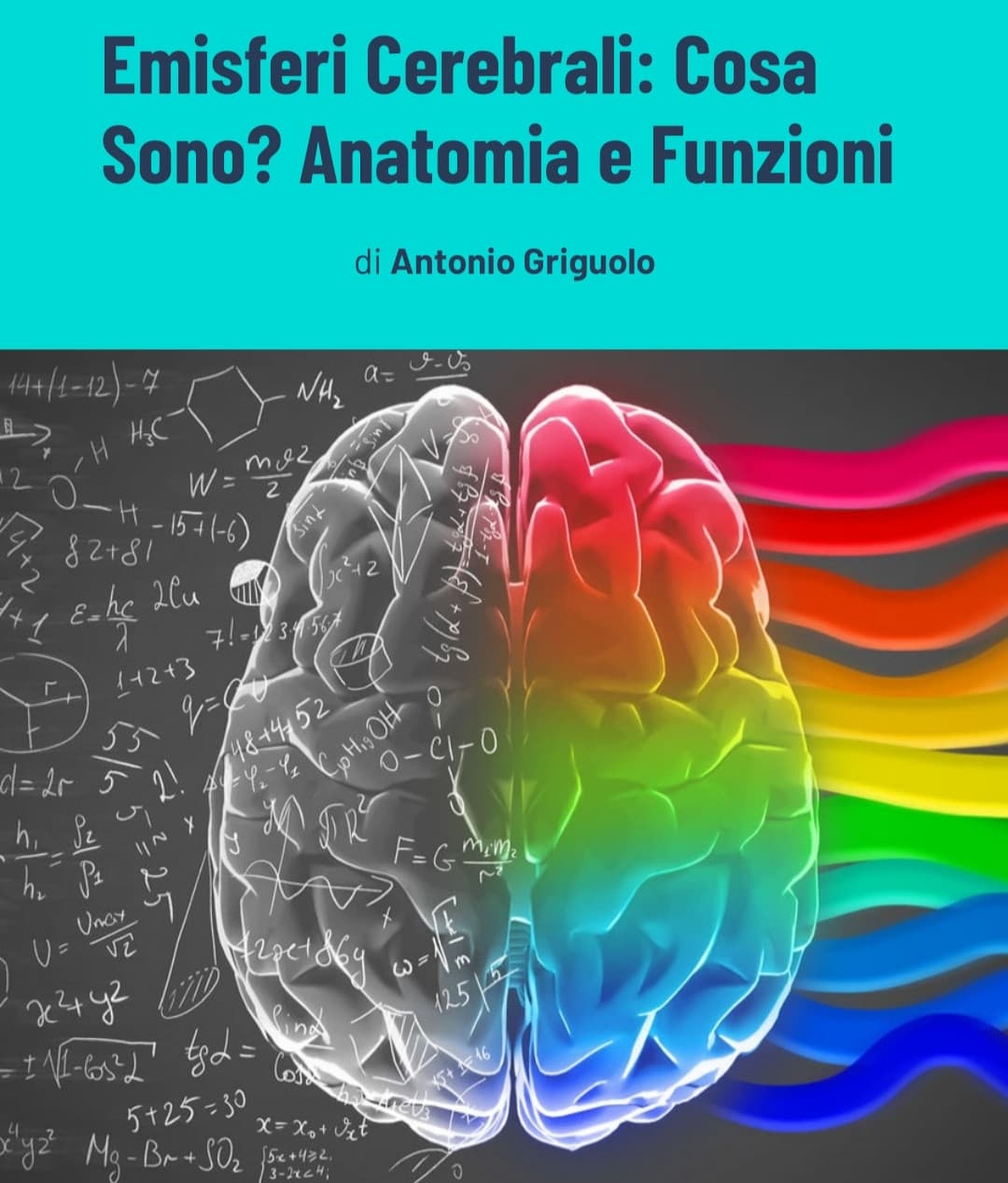 ah si. le due parti del cervello. matematica e gay.