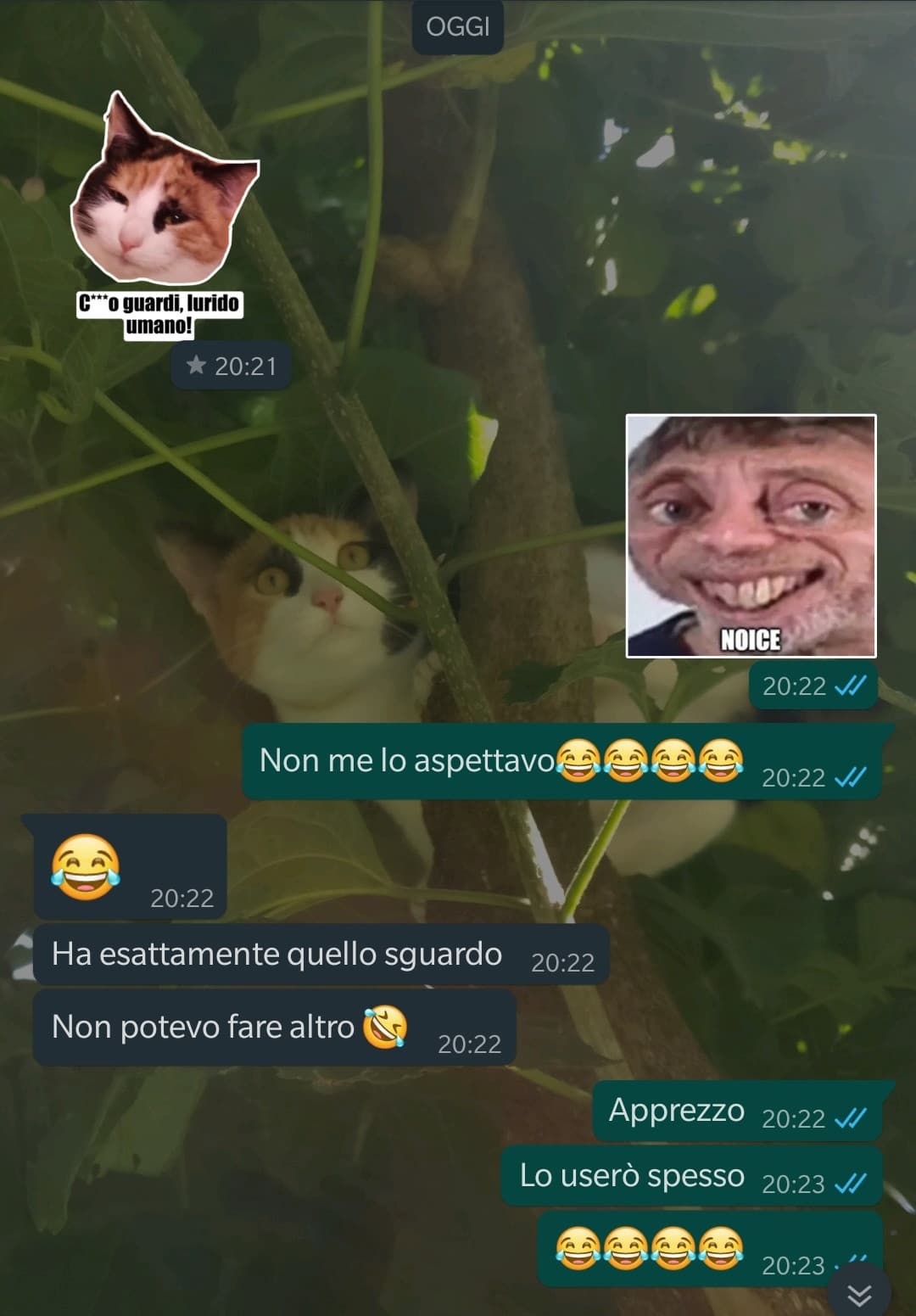 Non me lo aspettavo (questo è il fratello di @HoFameYe) 