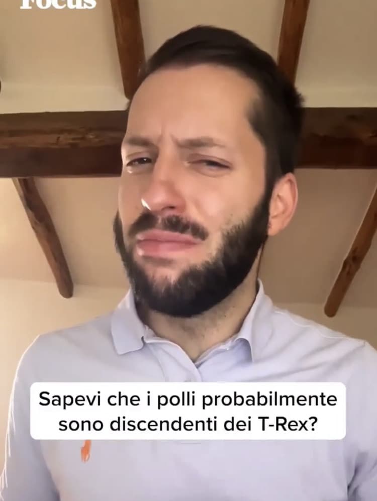 raga 3 errori da proprio ignorante in materia in solo sta frase, se dovete fare video "di divulgazione" almeno leggetelo la fonte/l'articolo su cui più o meno vi state basando