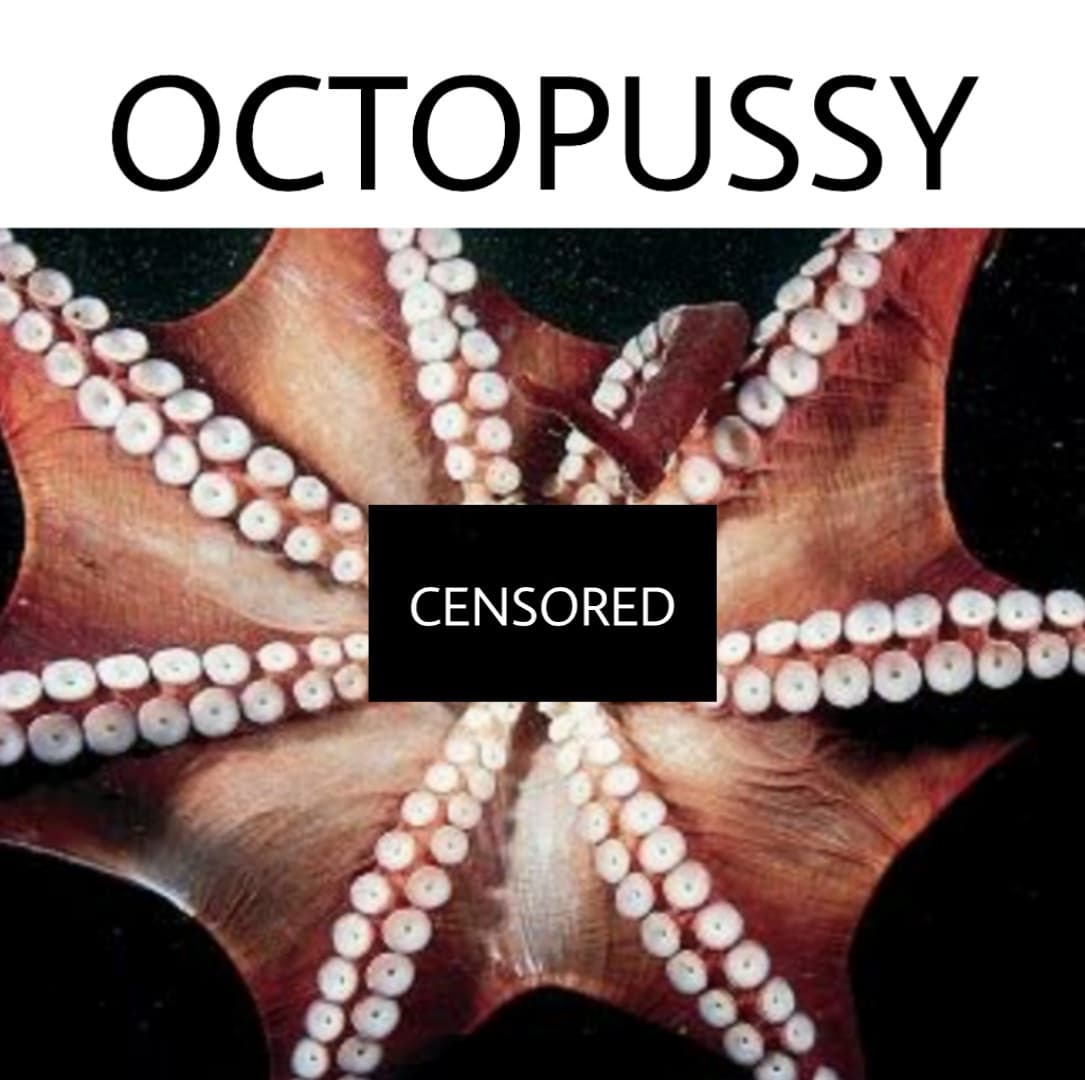 Secondo meme di octopussy