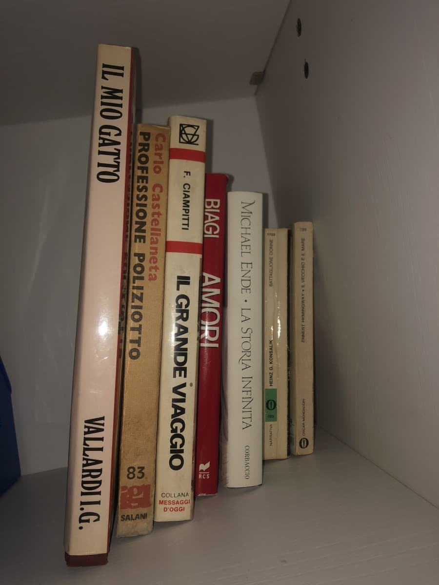 Forse è meglio riportarli in solaio, non penso leggerò questi libri.