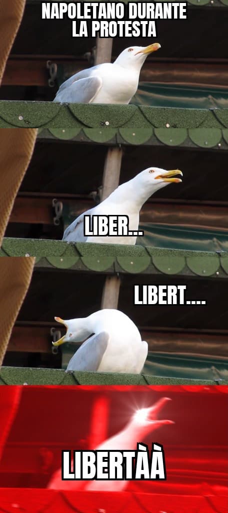 LIBERTA