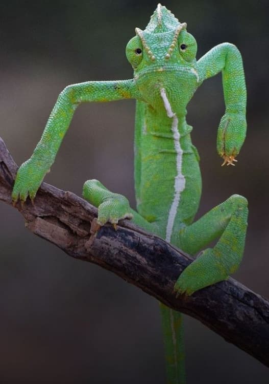 Sta cacacazza dell'amica di mia sorella è già la 4 volta che viene a casa a rompere i coglioni. Indovinate a far che? Ebbene si, studiano per il primo superiore, ceh ste qua devono iniziare le superiori e studiano... Io stavo a drogarmi all'età loro e ques