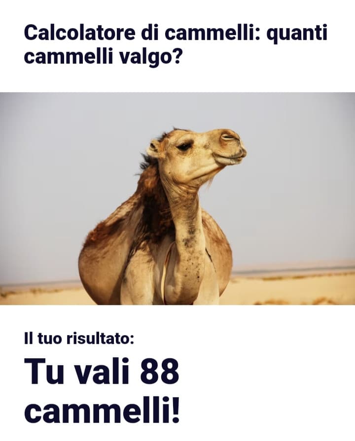 Oddio valgo 88 cammelli, voi?