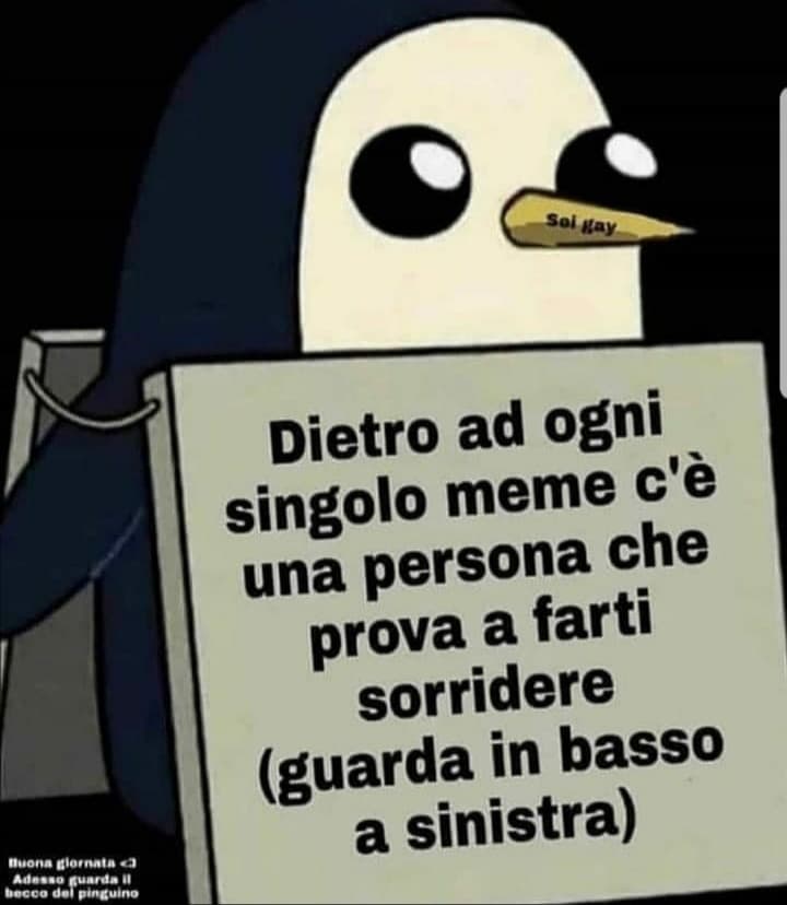 Non uccidetemi please