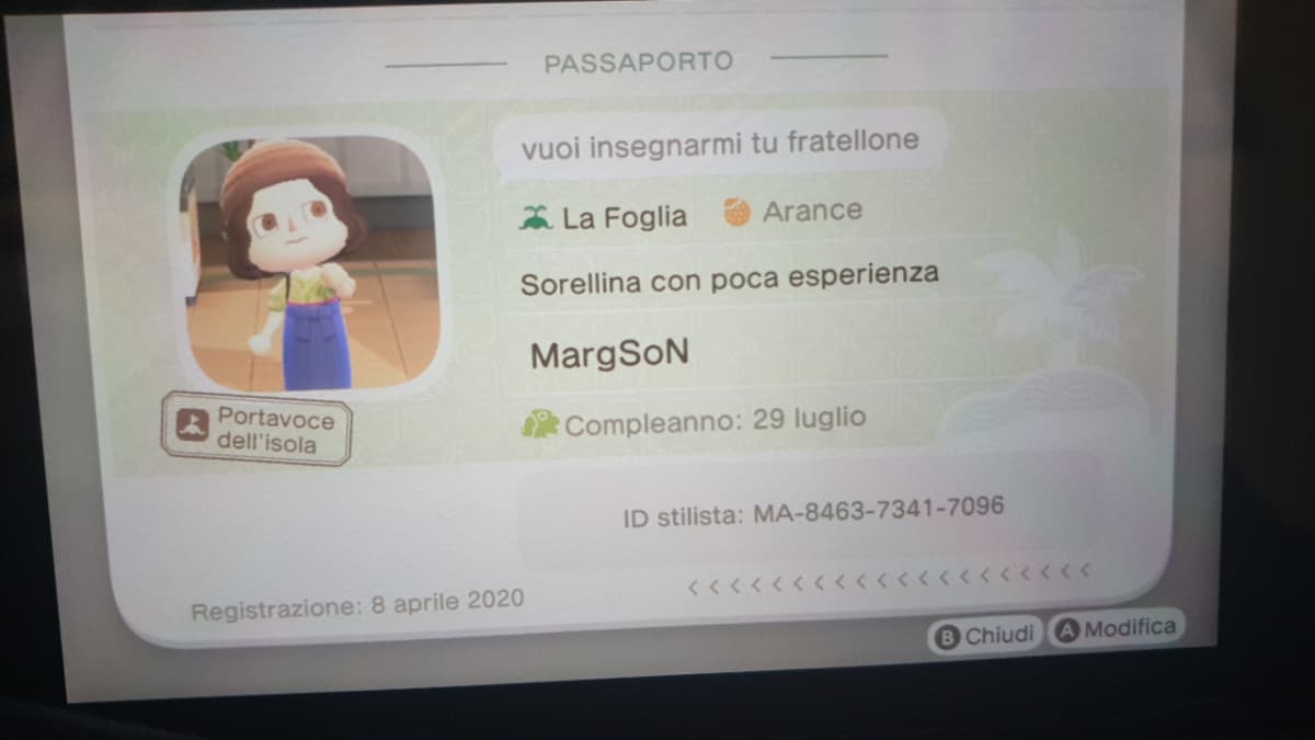 Poi ci sono io che trovo reference sessuali sul gioco più family friendly del mondo 