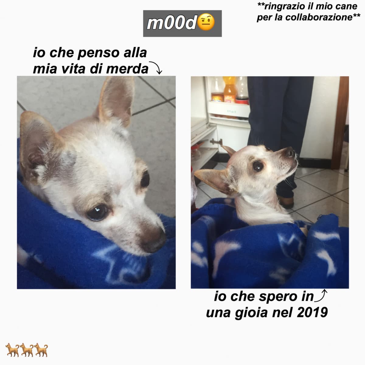 m00d di capodanno AHAHAH