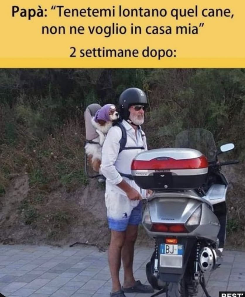 Ogni papà del mondo 