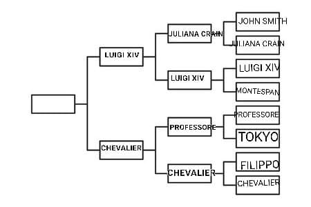 Buon anno a tutti!❤ seconda semifinale: Luigi XIV VS Chevalier 