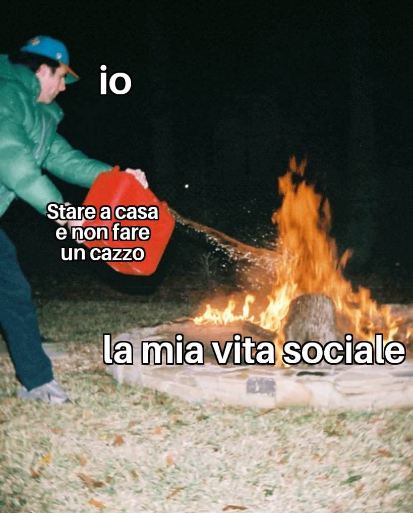 Vita sociale