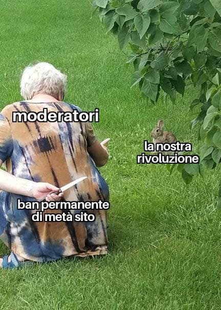 Succederà 