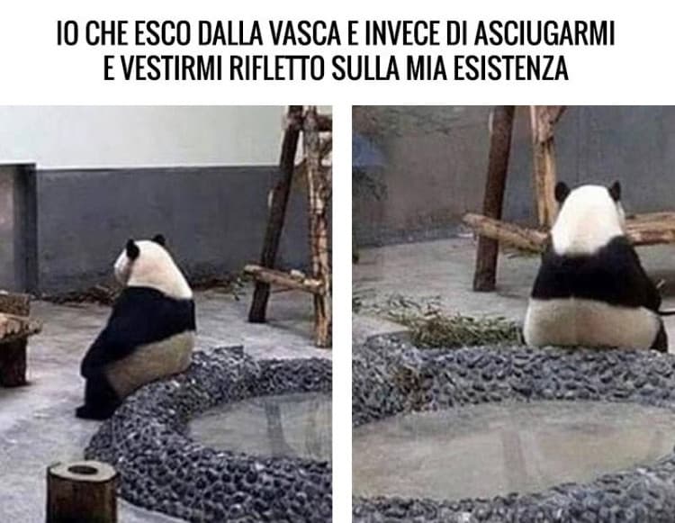 Chi altro come me così ?