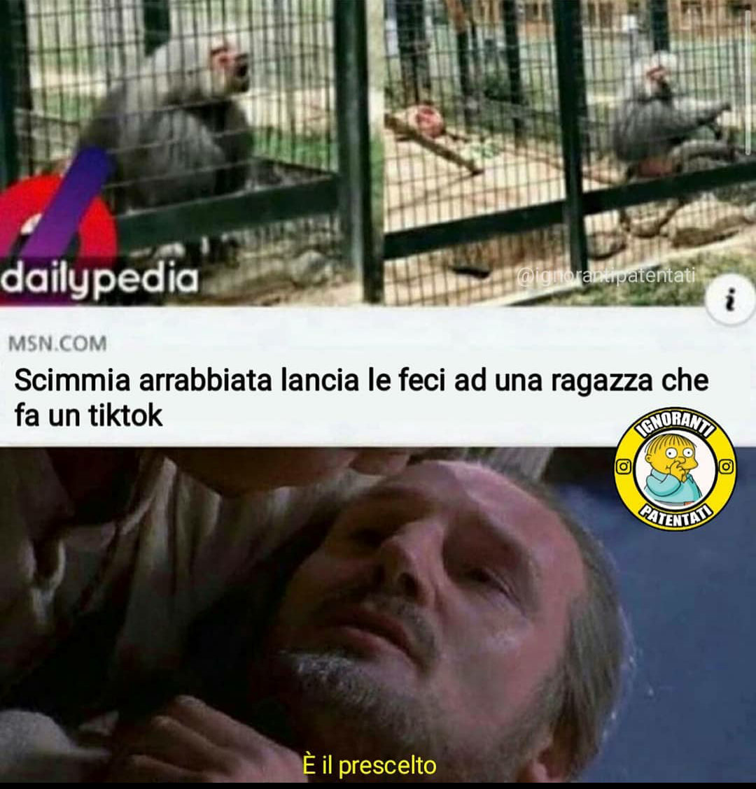 Quando si dice che tiktok fa cagare