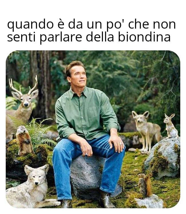 meme fatto col qoolo ma sentite che pace com'è andata alla fine? Cioè non che mi interessi 