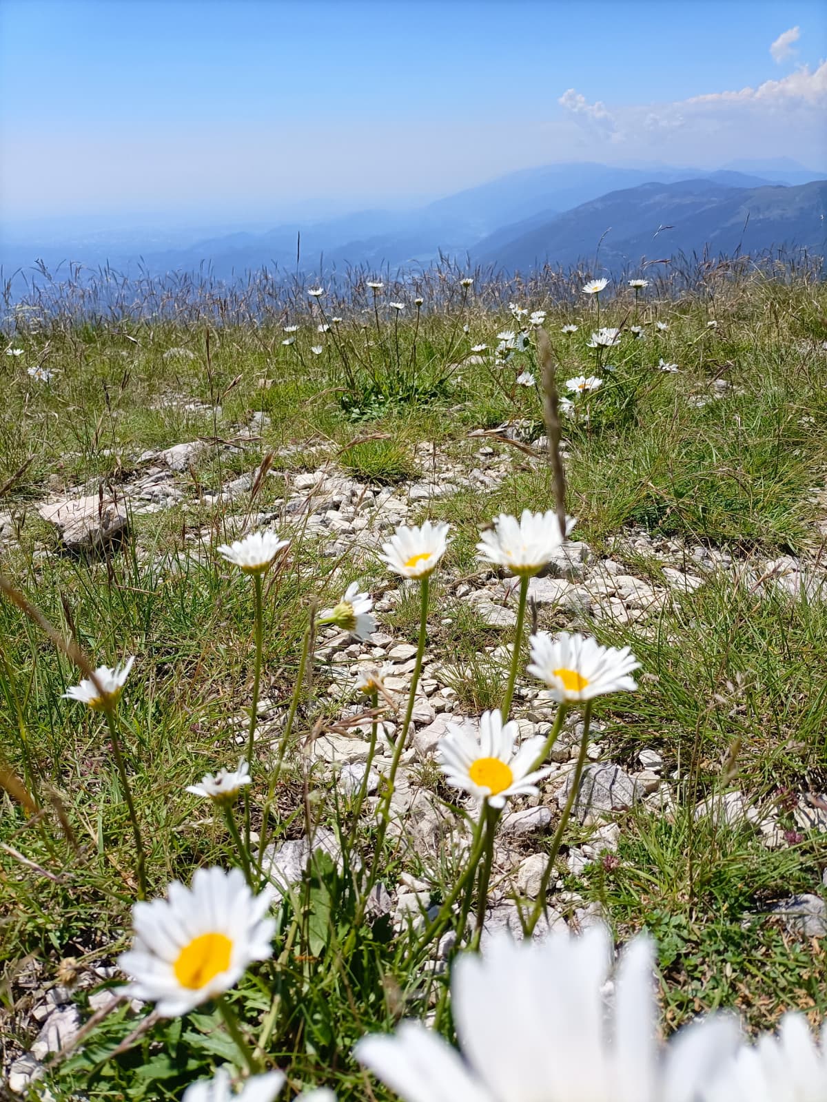 E anche questa estate signori la passerò a farmi vedere felice e contenta quando sono stanca di tutto e tutti. YEEEEEEE