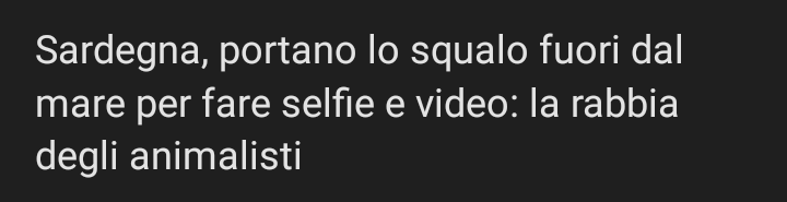 Che cazzo ho letto 