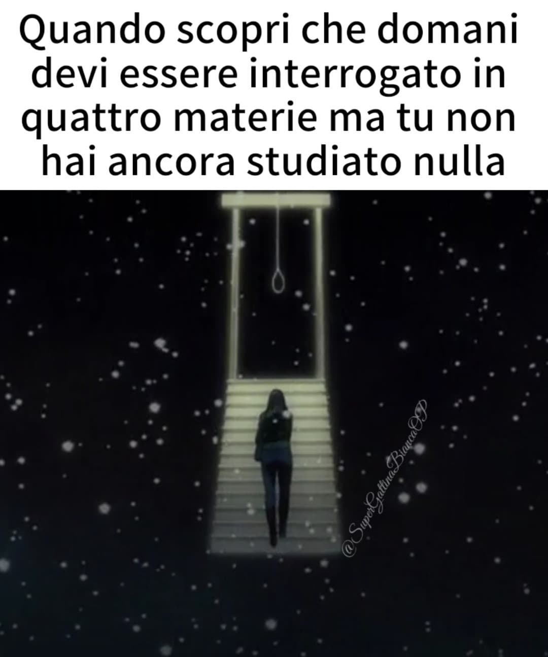 Scusate ma mi mancavate. In ogni caso spero di riuscire a convincere mia madre a non andare a scuola domani, se no è la fine