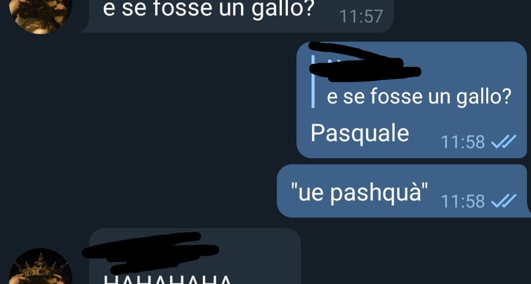 Penso sia un gallo, no comunque 