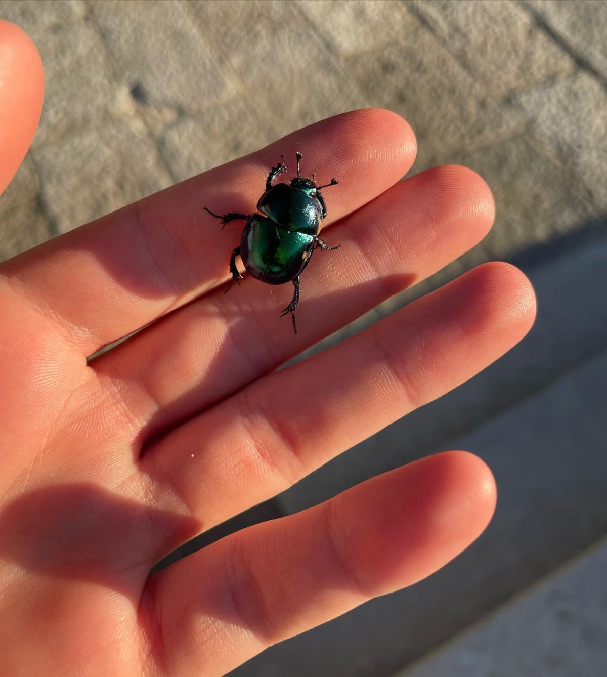 Amare gli animali è facile, ma farsi amare dagli animali è un’altra cosa… il mio secondo nome è in tal senso molto indicativo, a volte preferisco loro alle persone… 