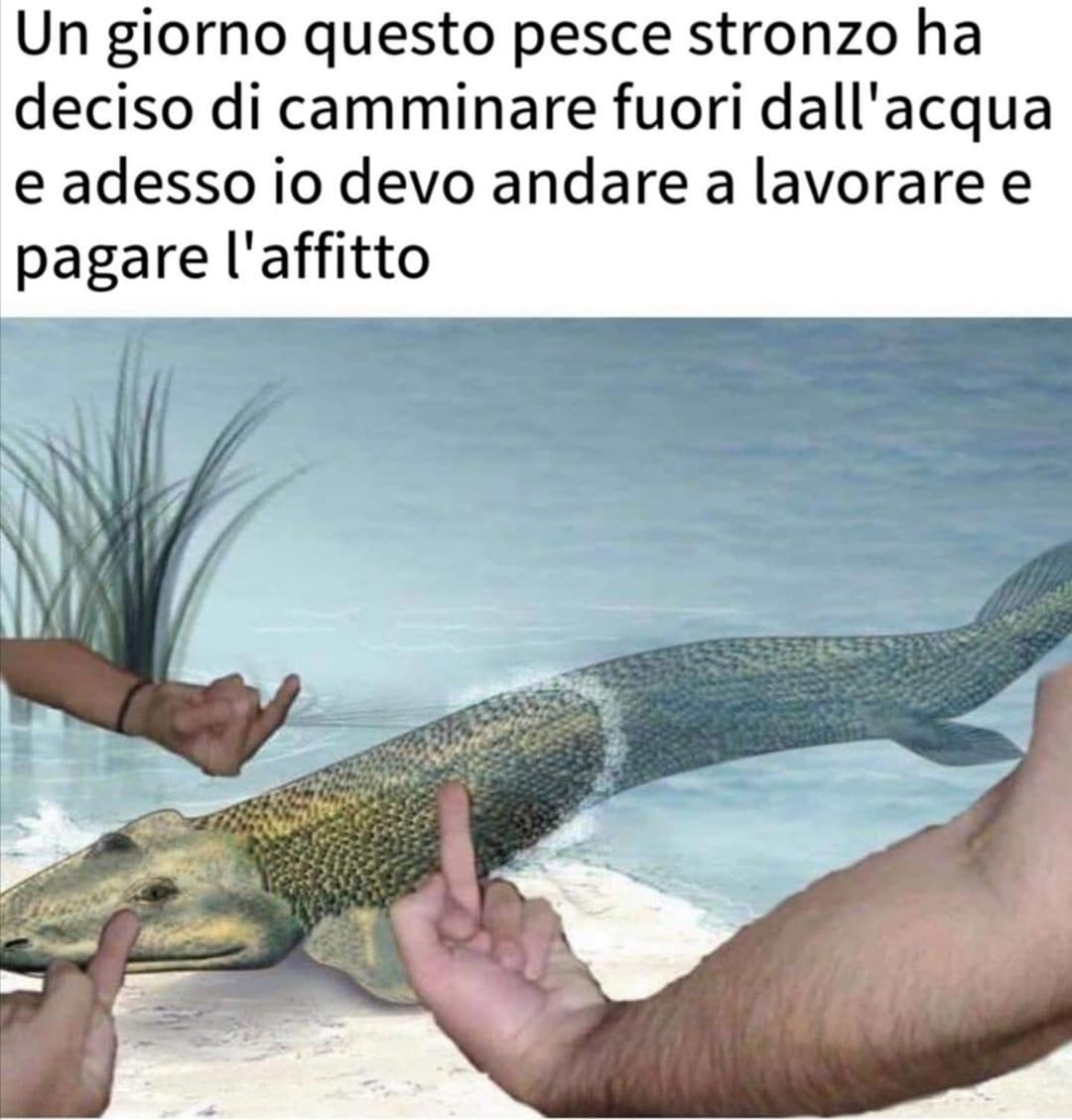 Pesce di merda 