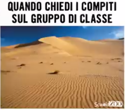 Questo meme riassumerà il mio anno scolastico