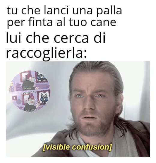 Meme per il buon scuola 