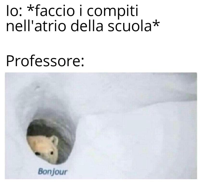 Ditemi se non è fottutamente vero