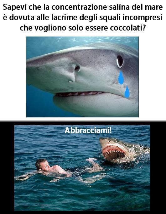 Che dolce che è! ^_^